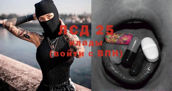 крисы Баксан